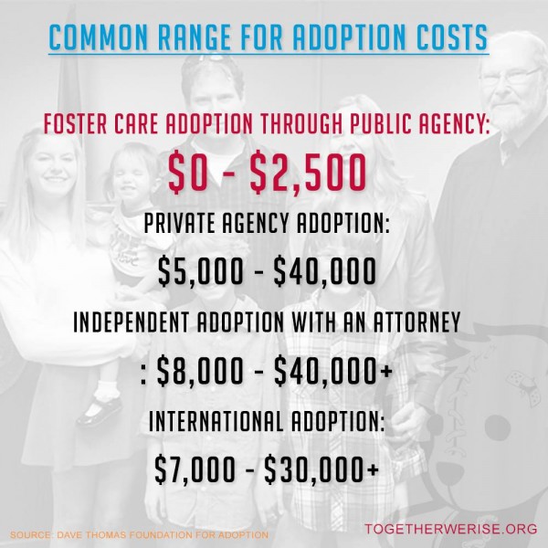 Adoption Cost Breakdown