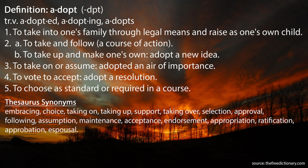 adoption definintion