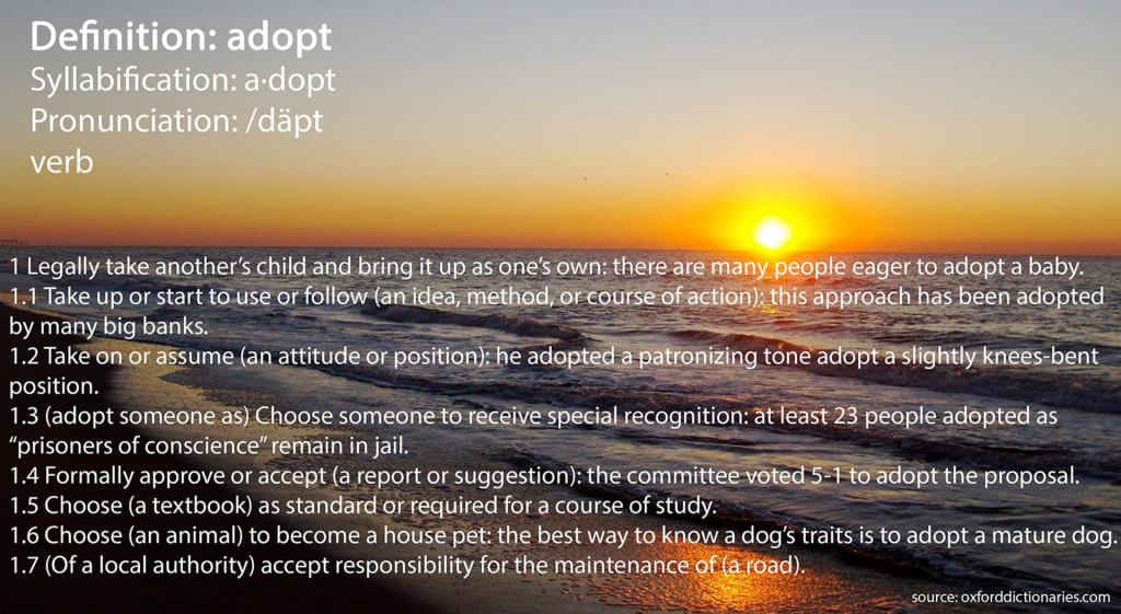adoption definition 2