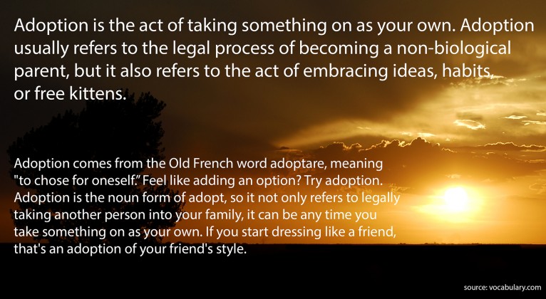 adoption definition 3