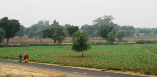 Indian Countryside