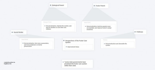 perspectives of the foster care system 5