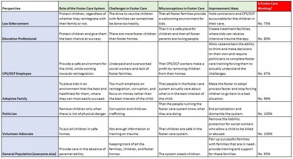 perspectives of the foster care system 8