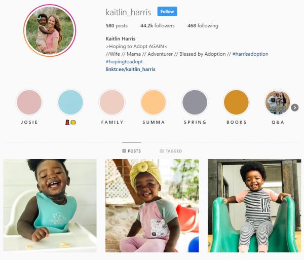 On Instagram, you can connect with a bunch of people through images and videos. Here is our top list of adoption influencers on Instagram.