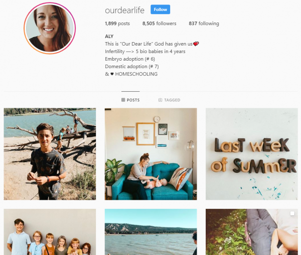 On Instagram, you can connect with a bunch of people through images and videos. Here is our top list of adoption influencers on Instagram.