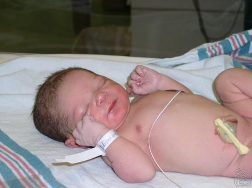 Born 4-25-06