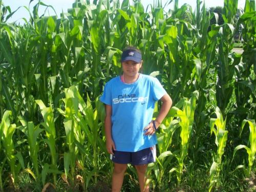 Corn... this is very interesting.