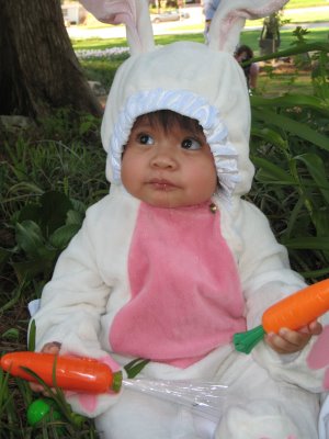 Whats UP DOC...you want a YUMMY Carrot