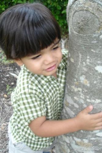 By the Tree