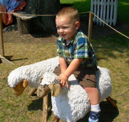 Giddy-up!