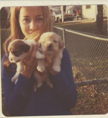 Dottye holding puppies
