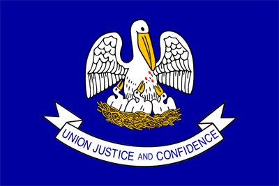 louisiana state flag