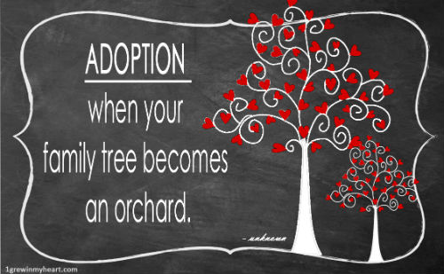 family tree becomes an orchard