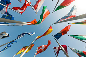 I want to adopt a baby